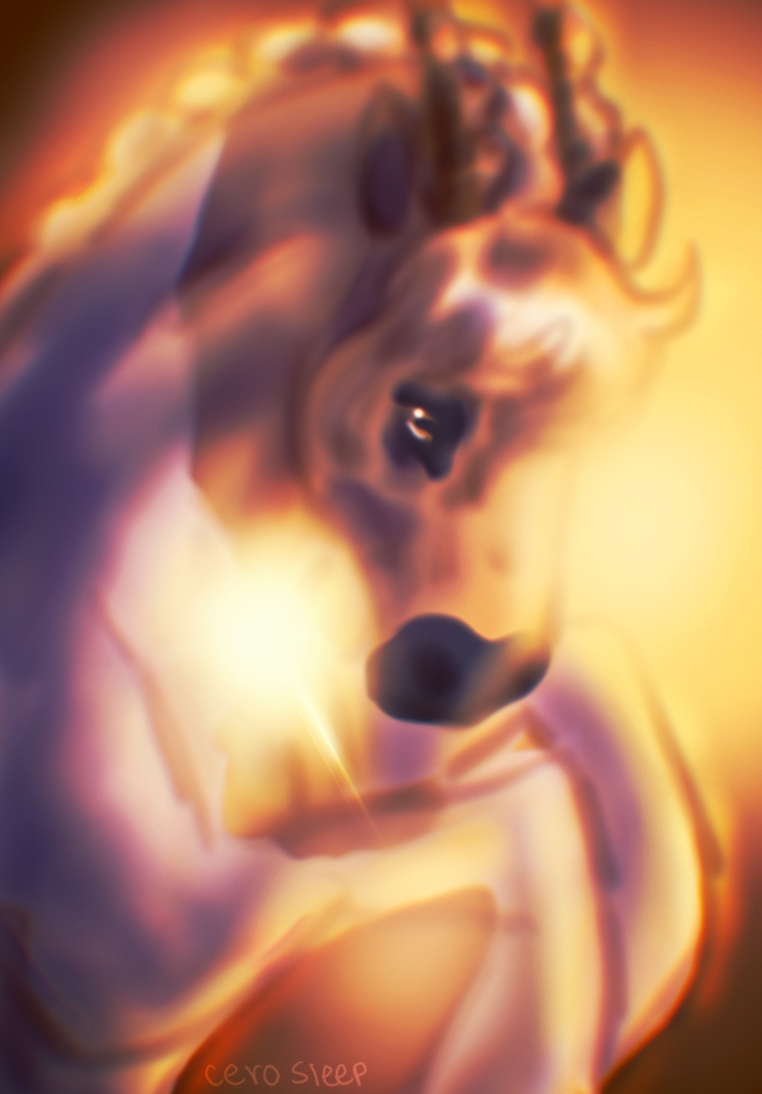 Forest of Oranges and Reds