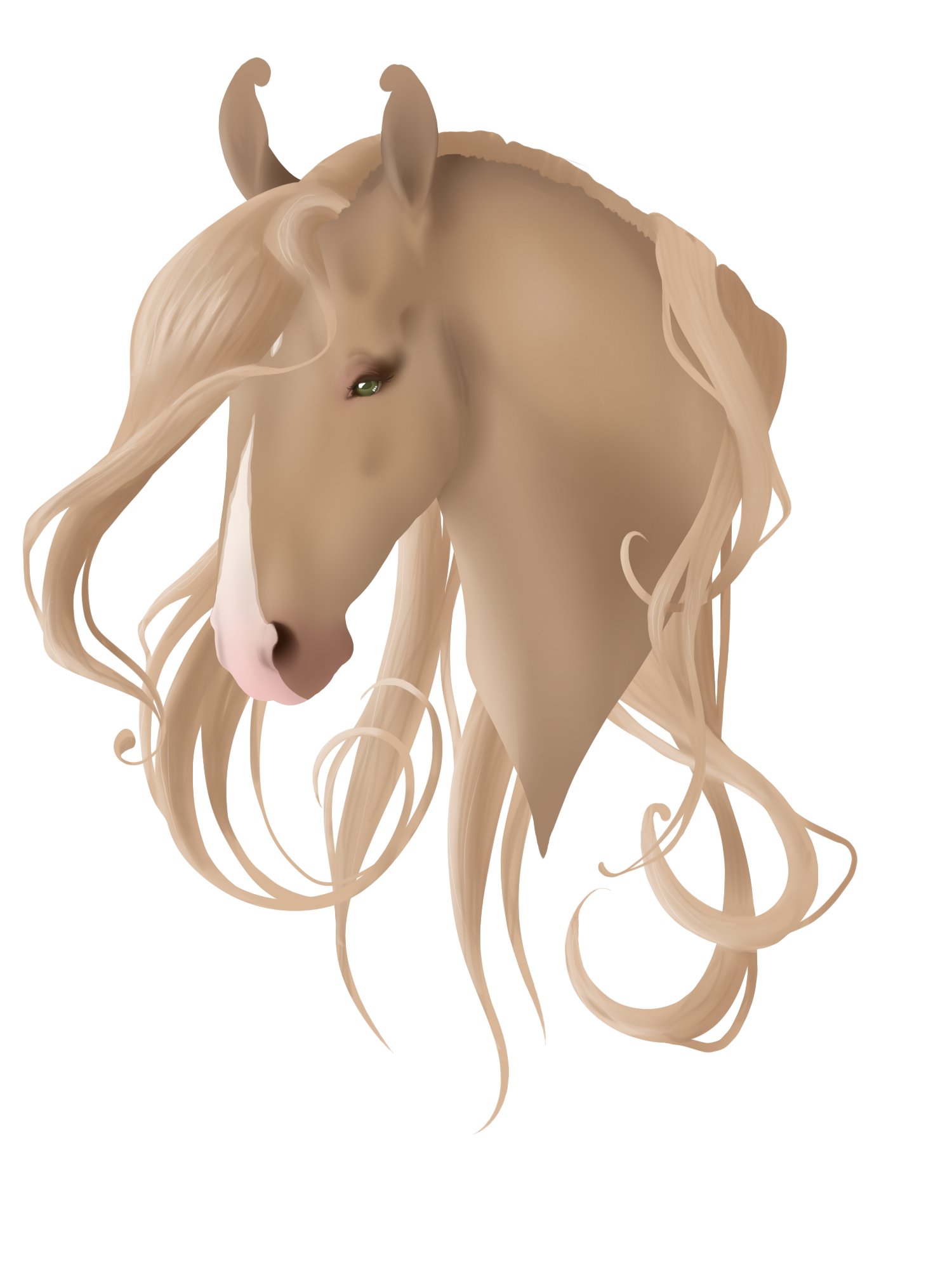 Headshot- more interesting title one day