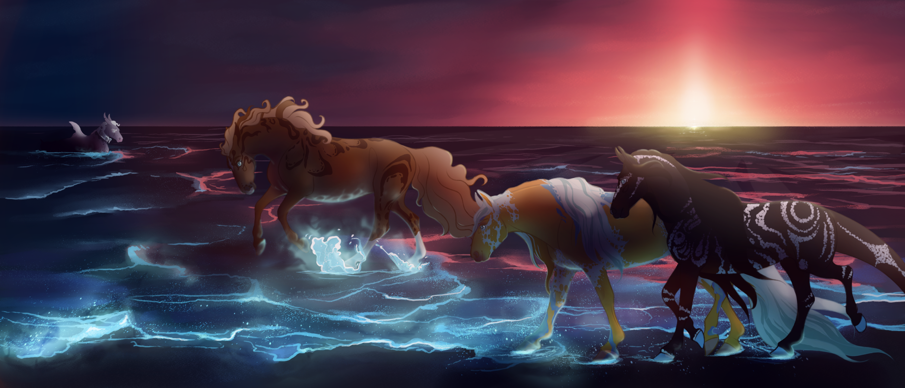 Northern Lights of the Coast