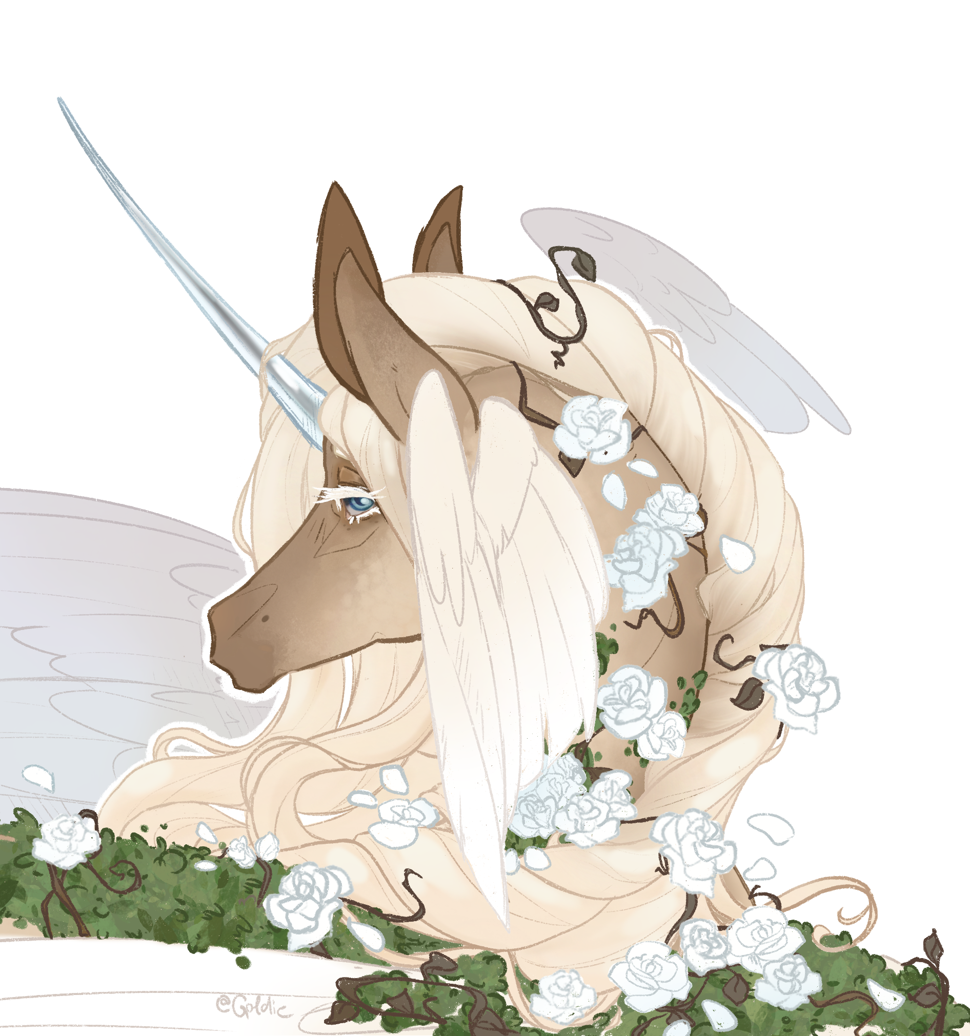 Goldie gift art