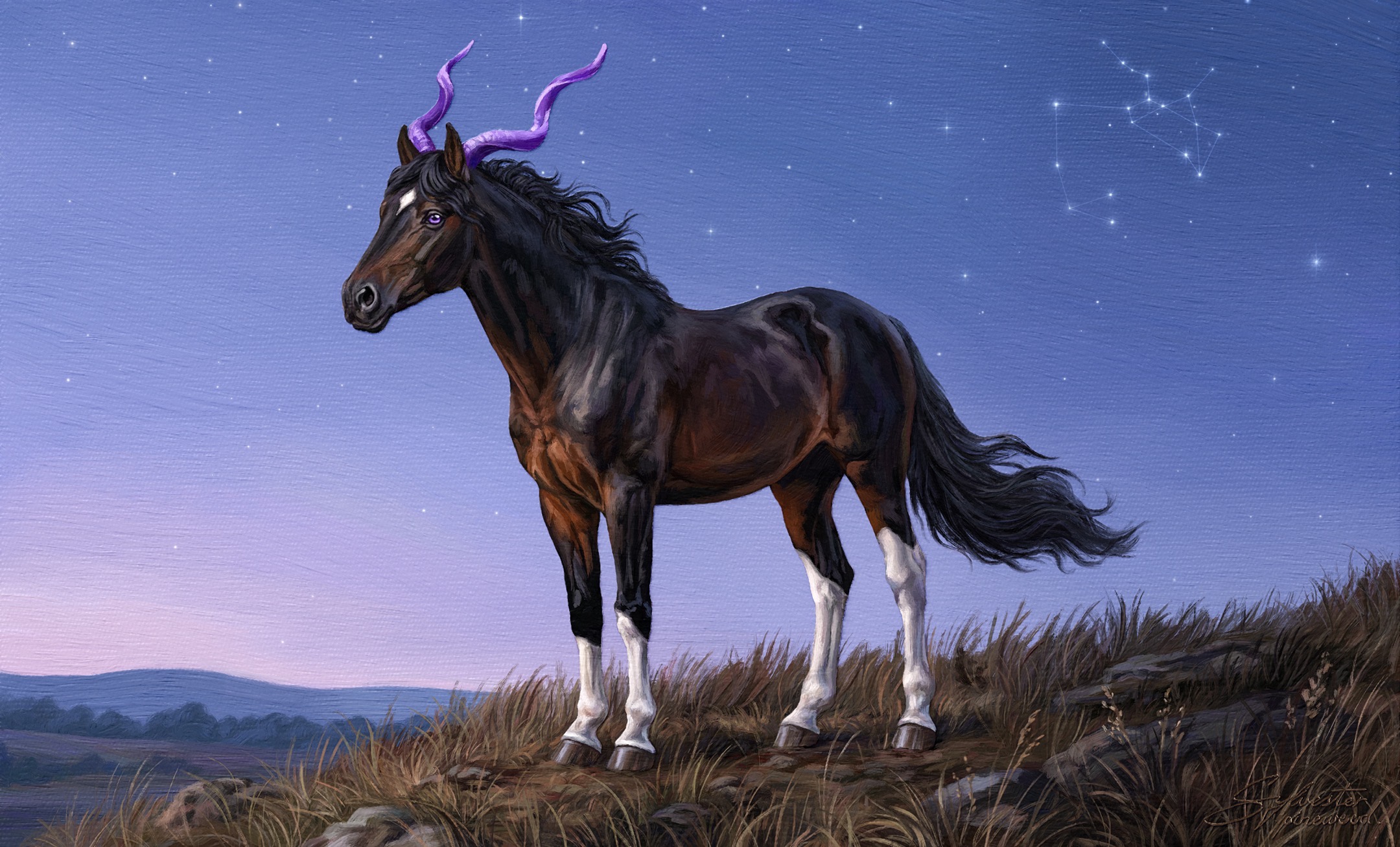 Sagittarius Sky