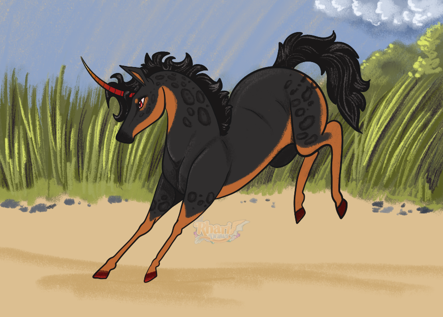 Bucking beach