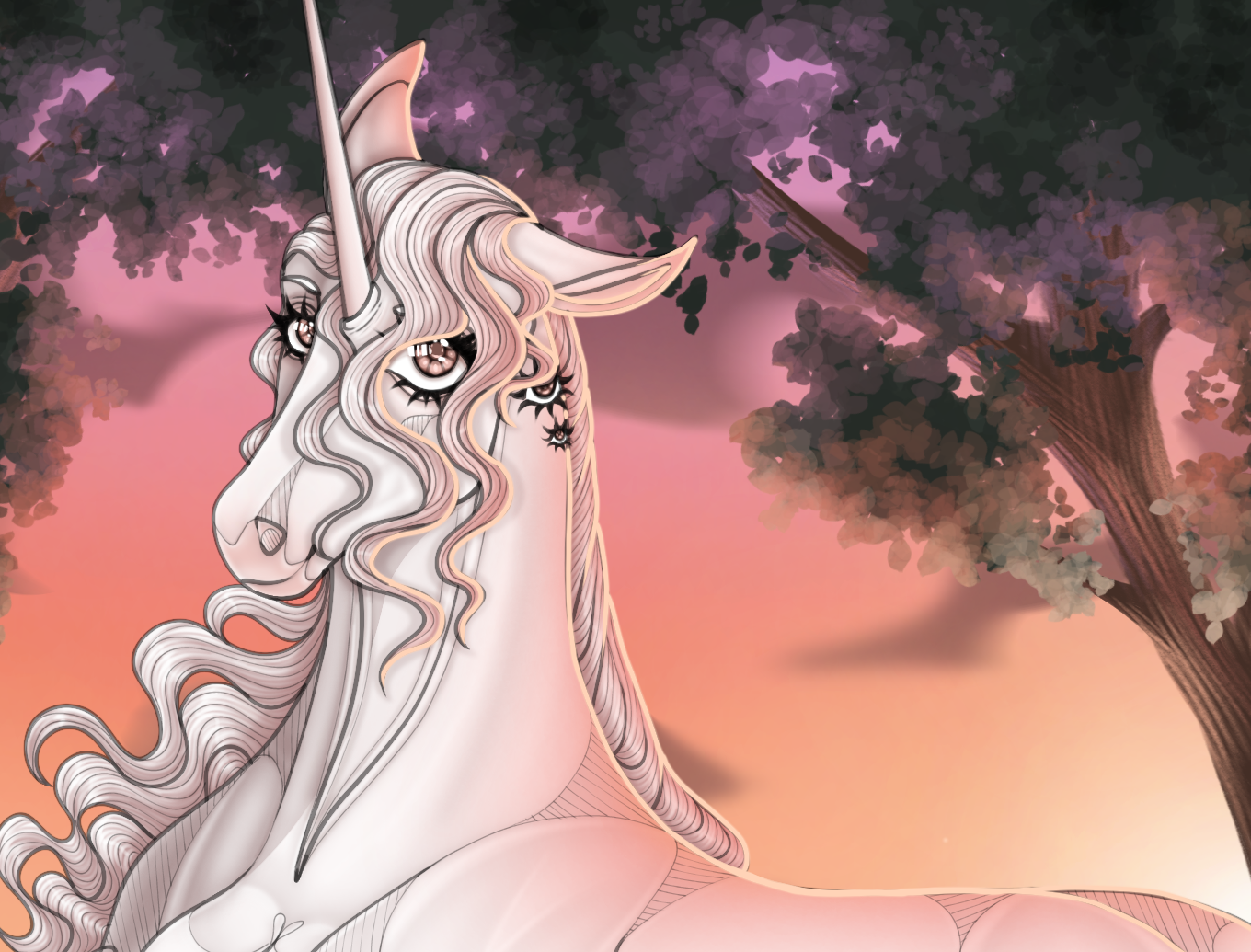 Basking in Sunsets