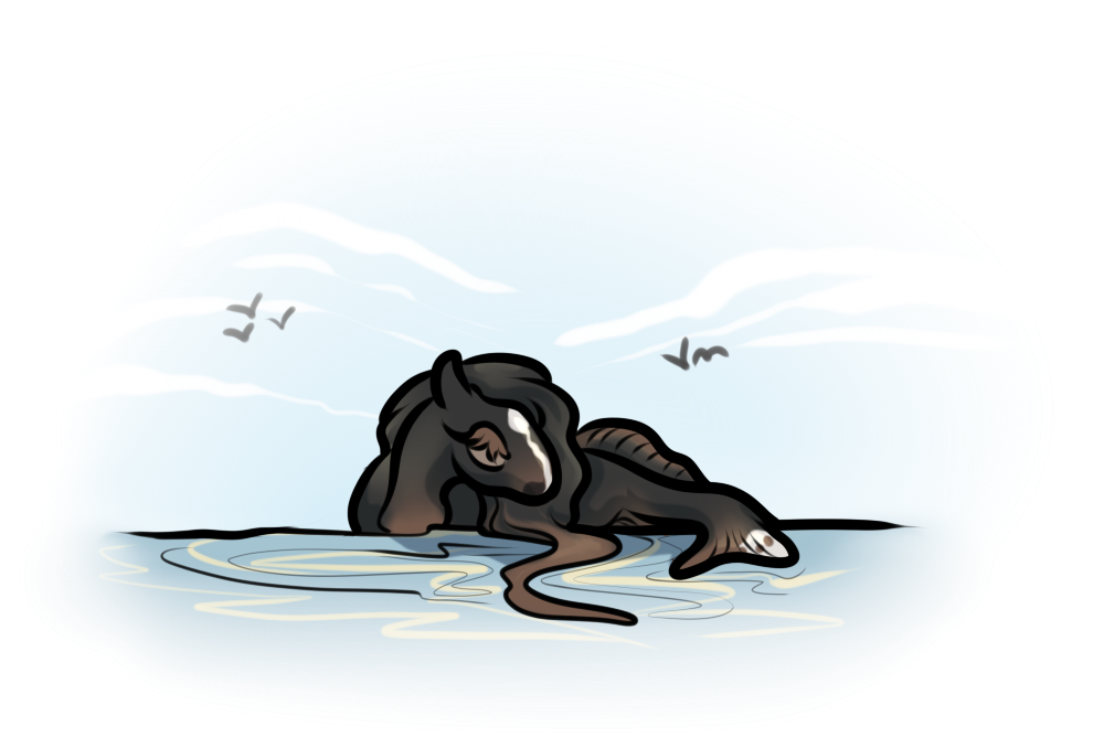 fish in water