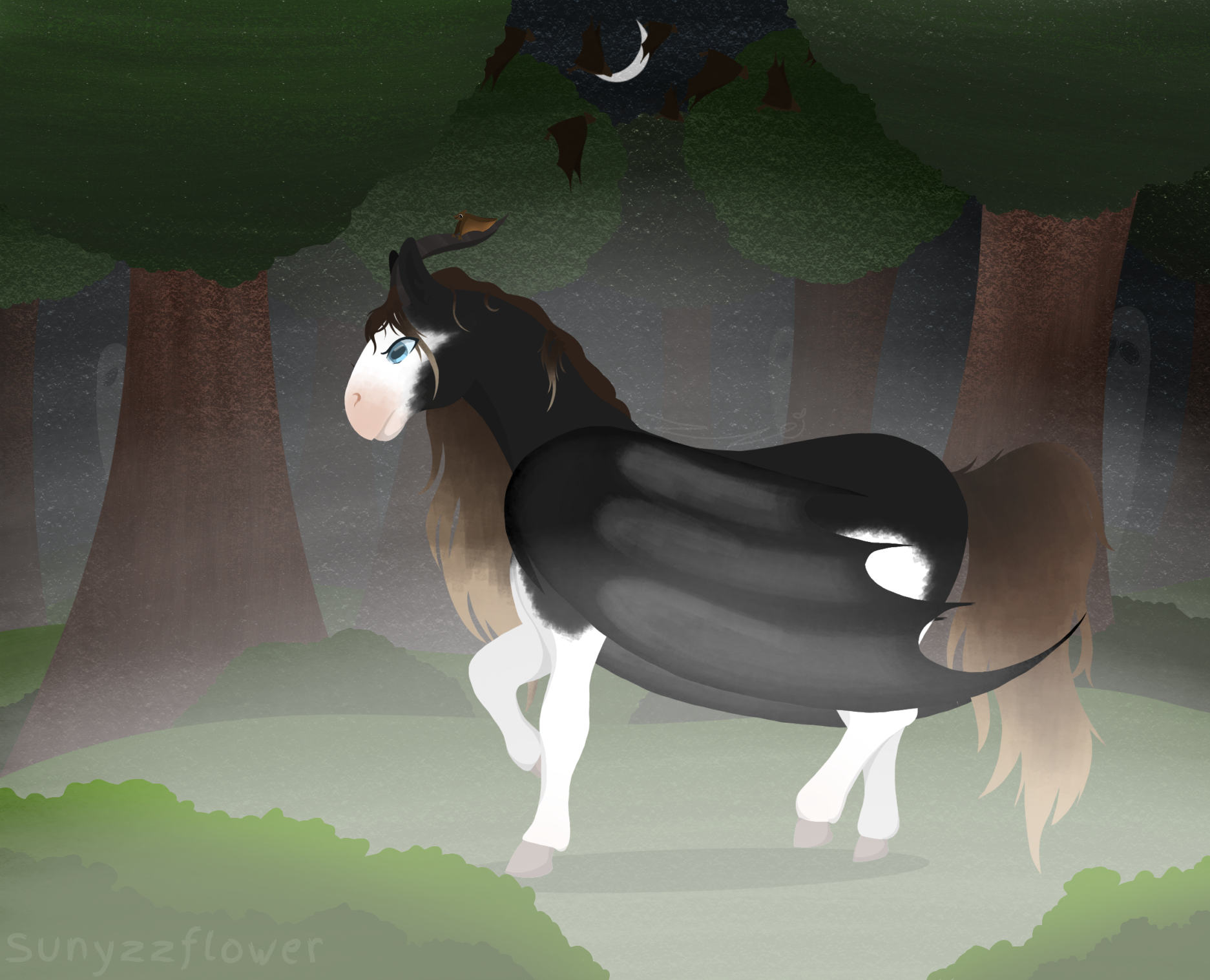 Adventure into the Woods