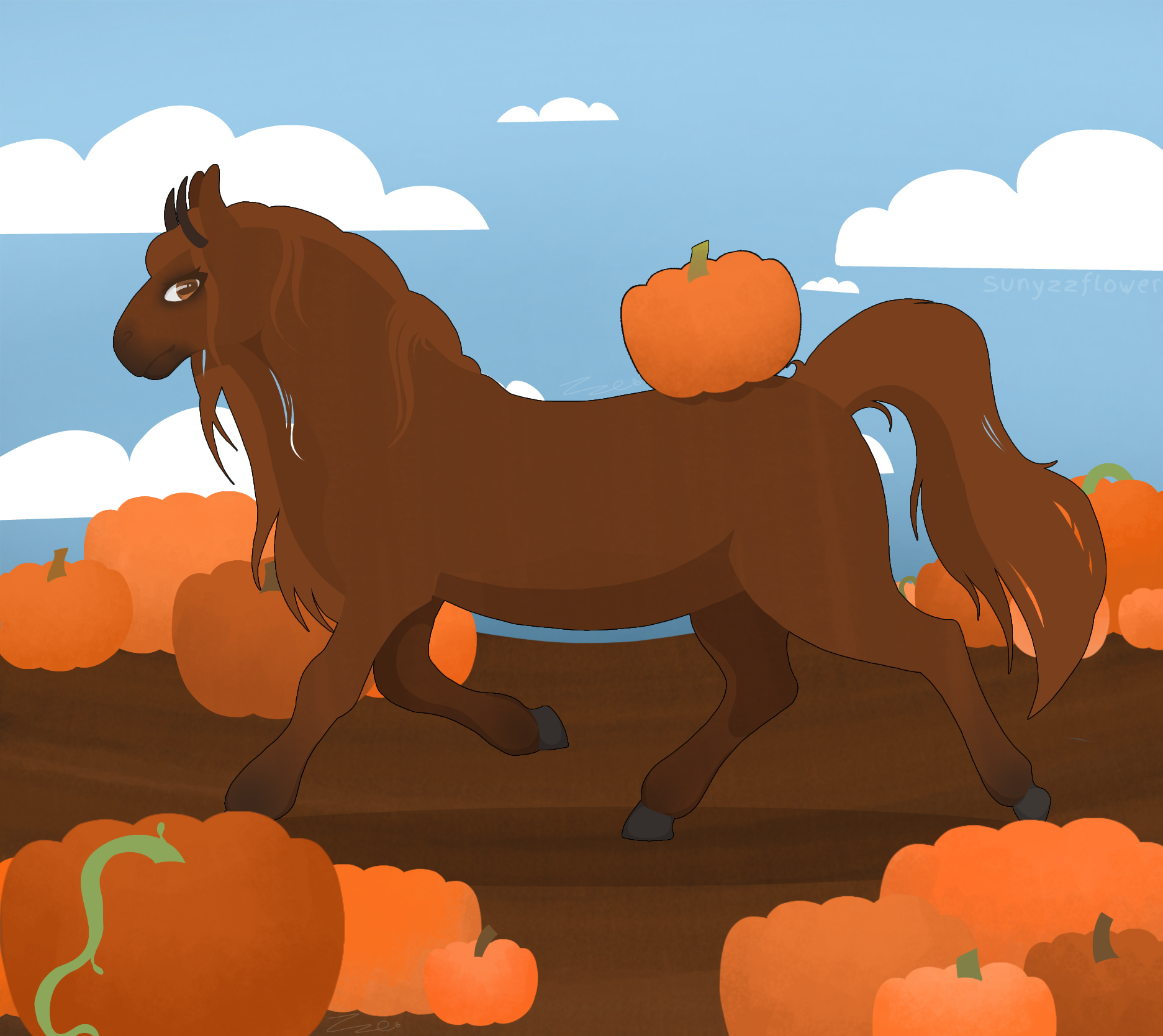 Stroll through the Pumpkin Patch