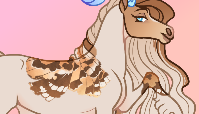 Papillon thumb reupload