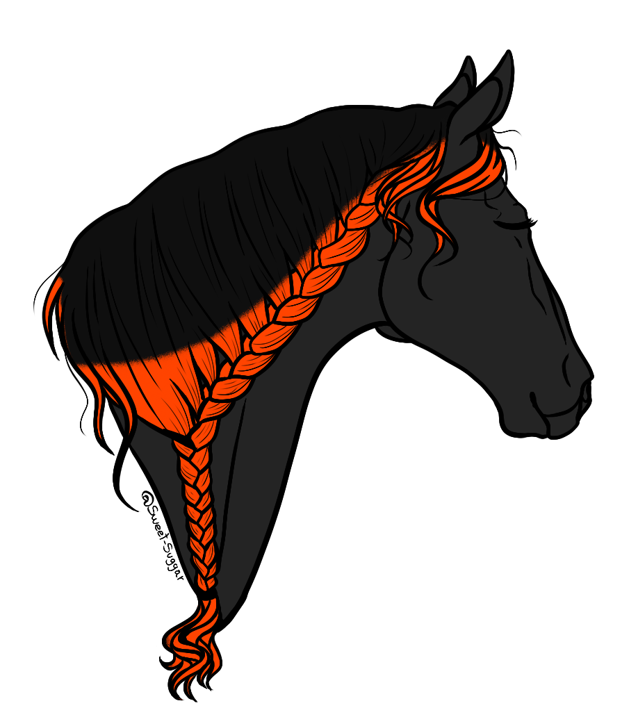 Braids