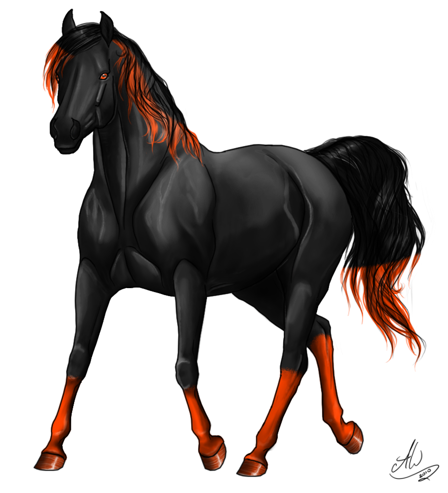 Arabians Have Intimidating Poses