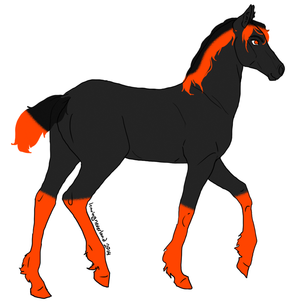 Filly