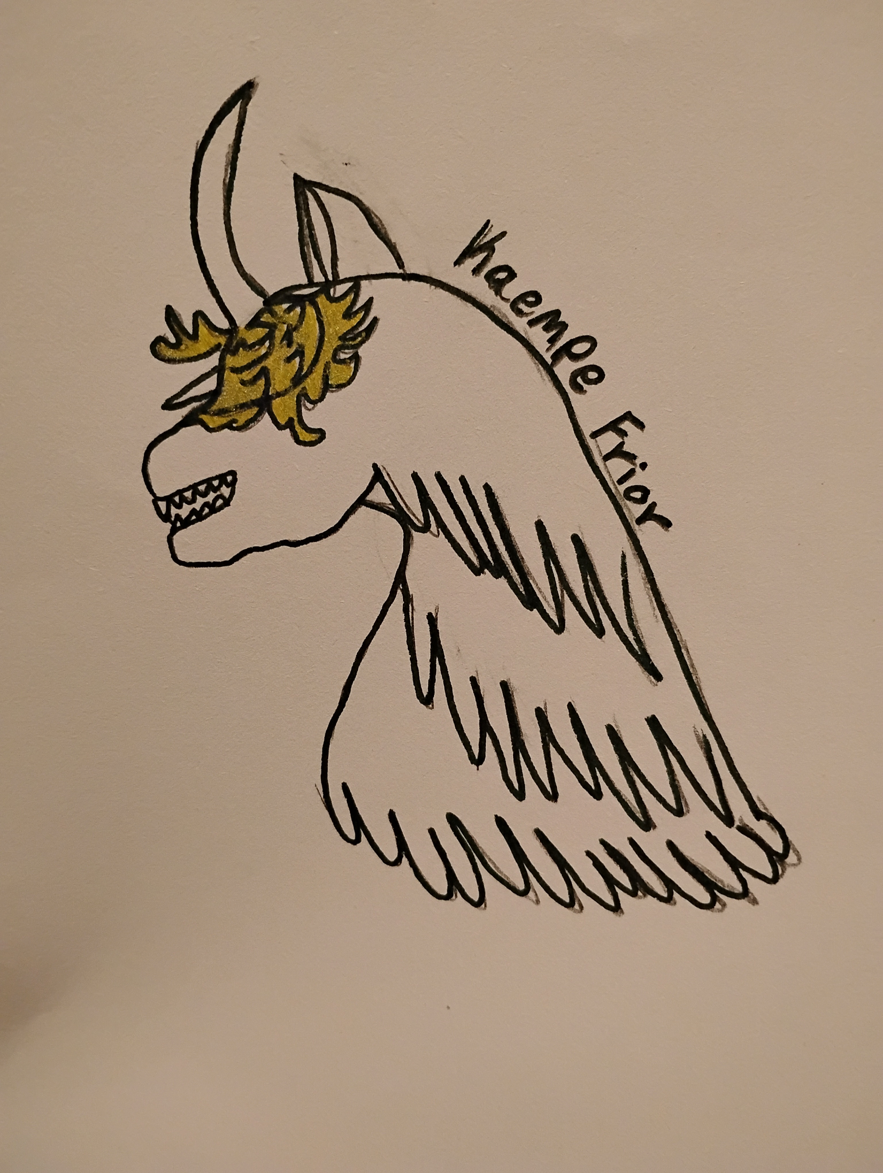 Kaempe