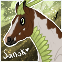 Sanok Icon