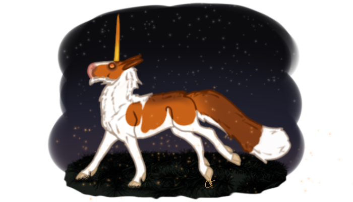 Laika and The Stars