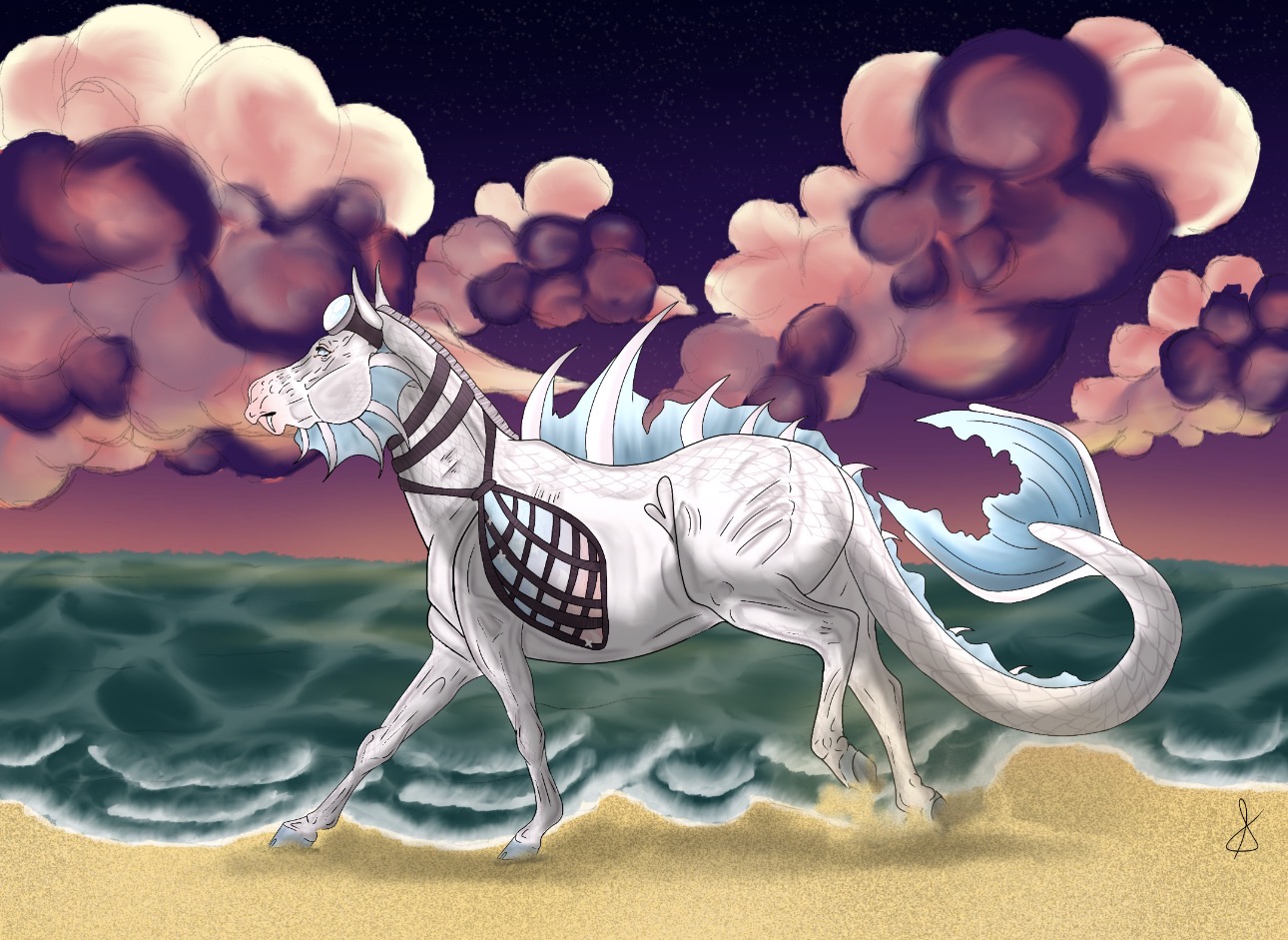 Beach dweller