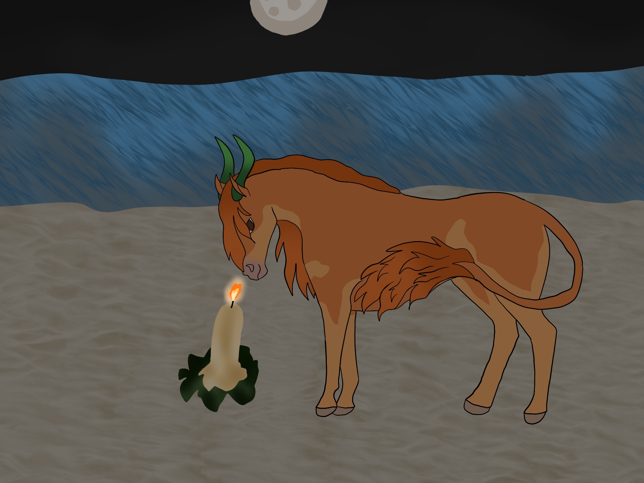 Candles
