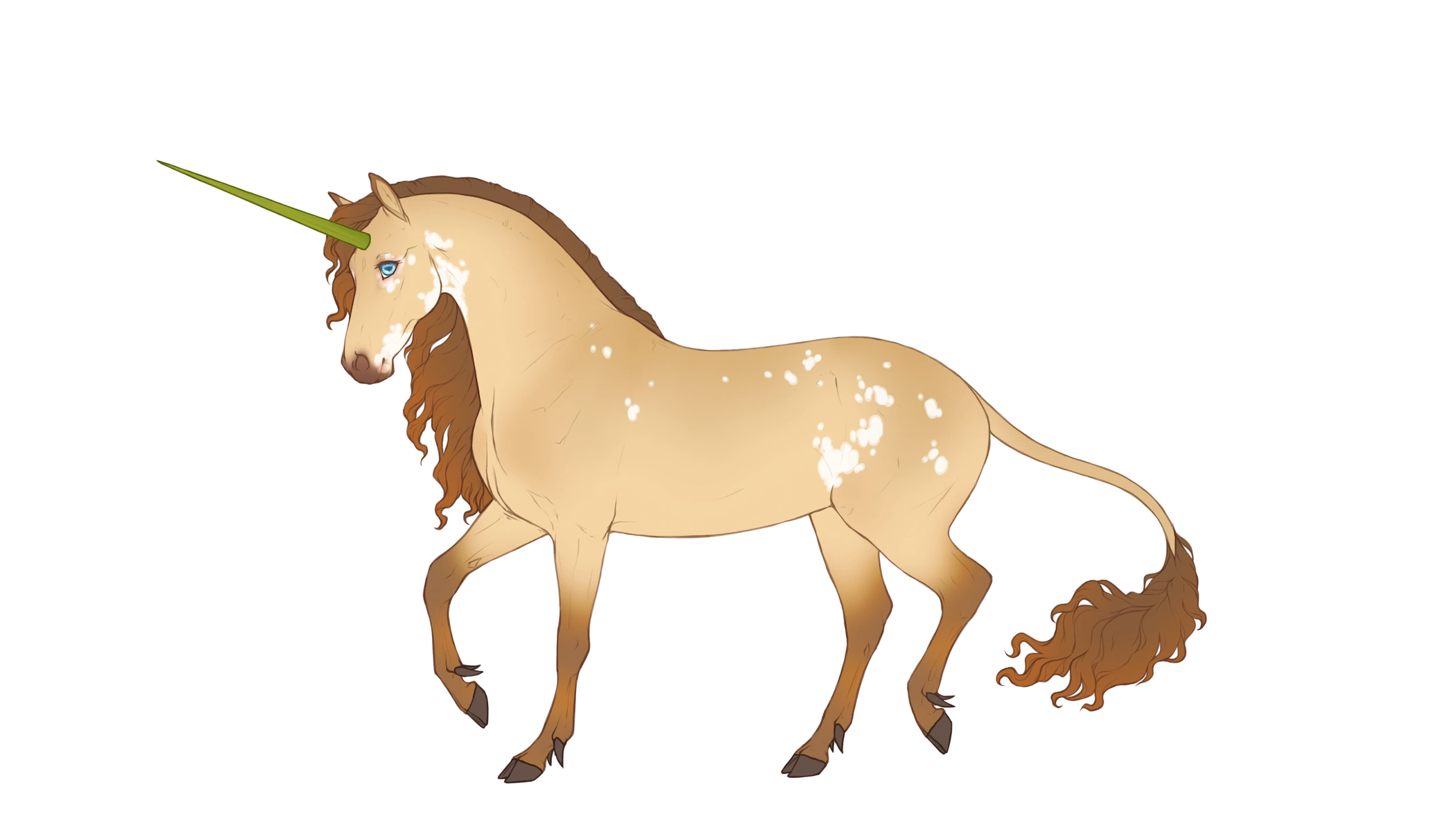 Example of a designed veilhorn