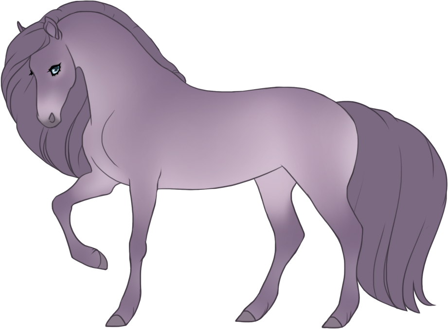 Light blue seal amber champagne with minimal black points