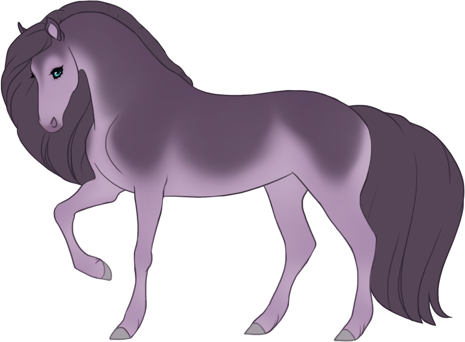 Blue tanpoint amber champagne with minimal black points