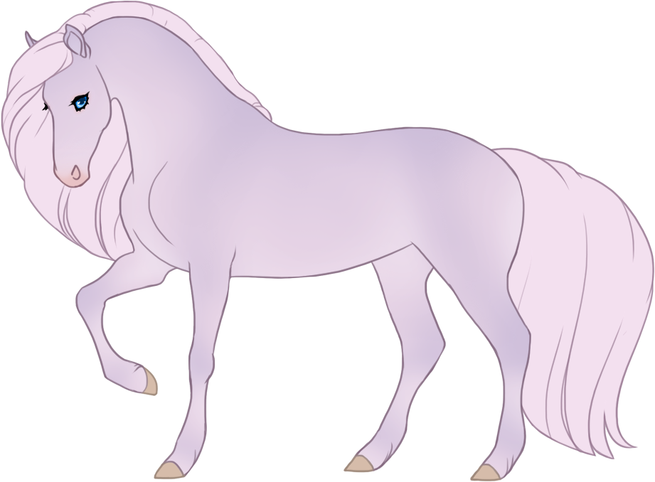 Blue cremello champagne