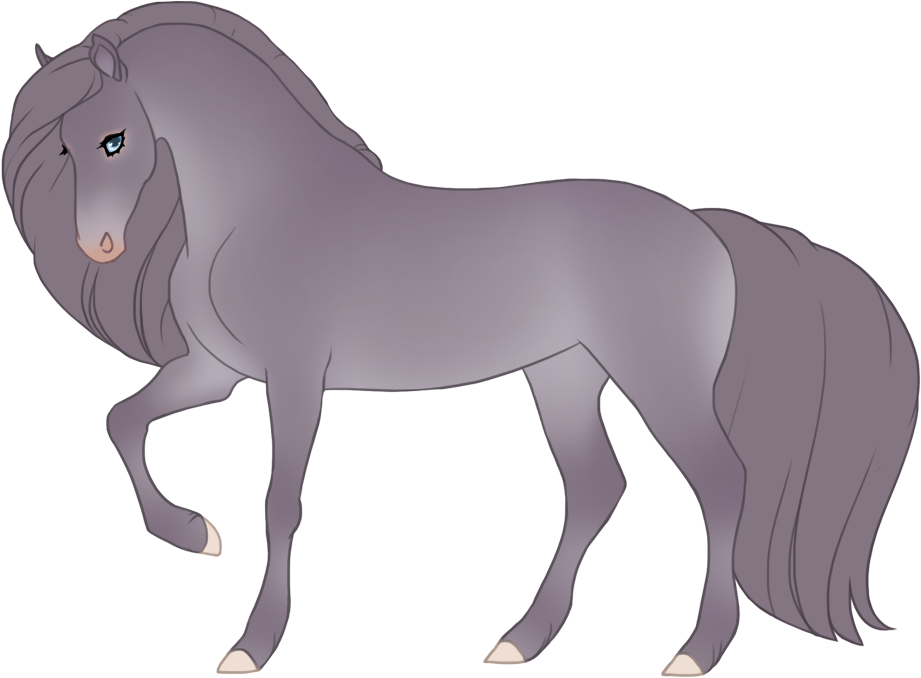 Dark blue seal perlino champagne with minimal black points