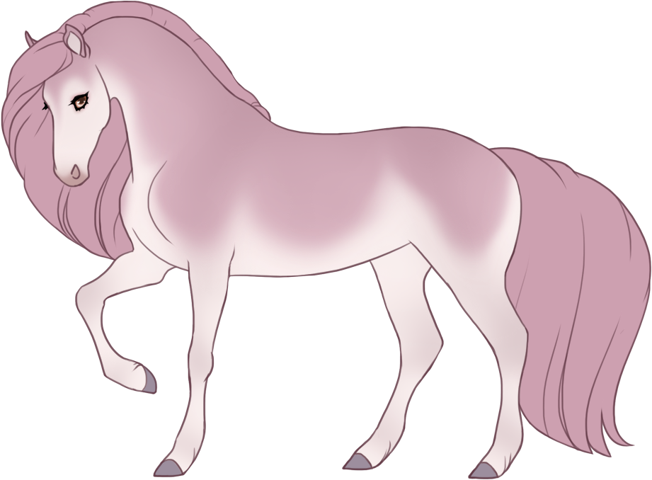 Blue tanpoint maple pearl champagne with minimal black points