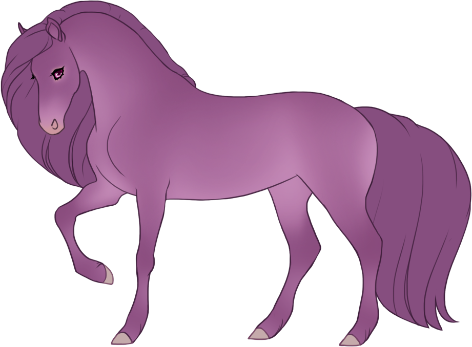 Cool-toned blue seal ginger champagne with minimal black points