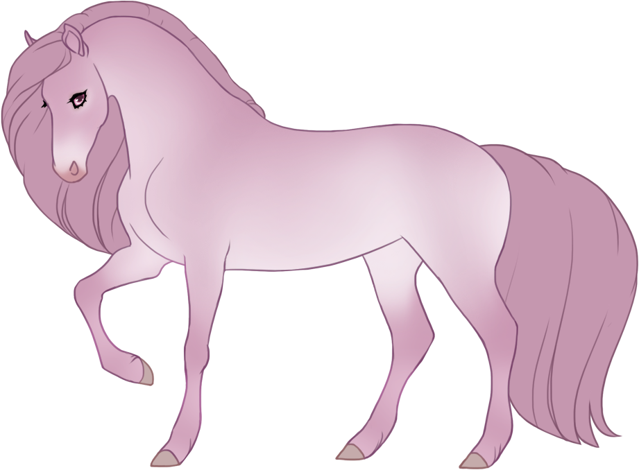 Light blue seal maple champagne with minimal black points