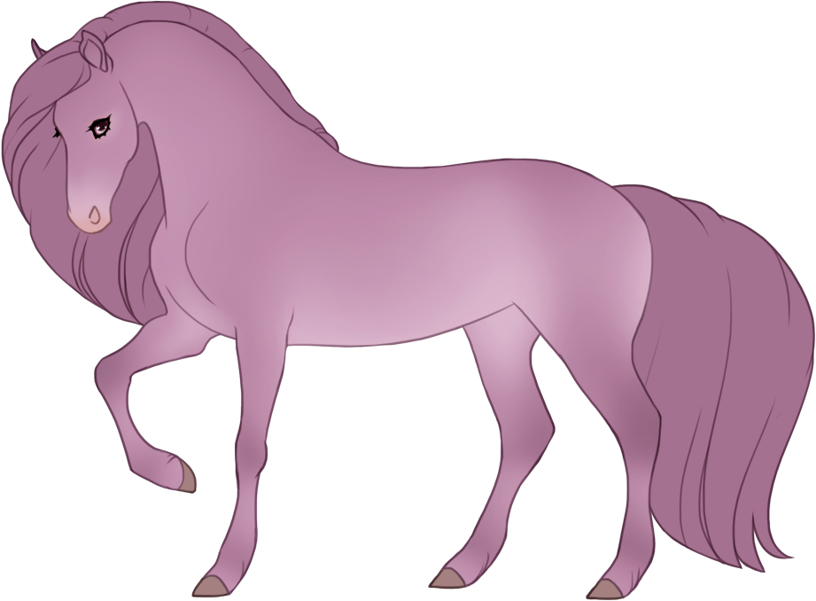 Blue seal maple champagne