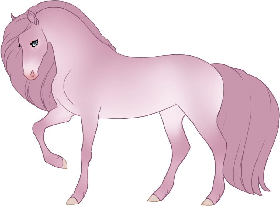 Blue seal blush champagne with minimal black points