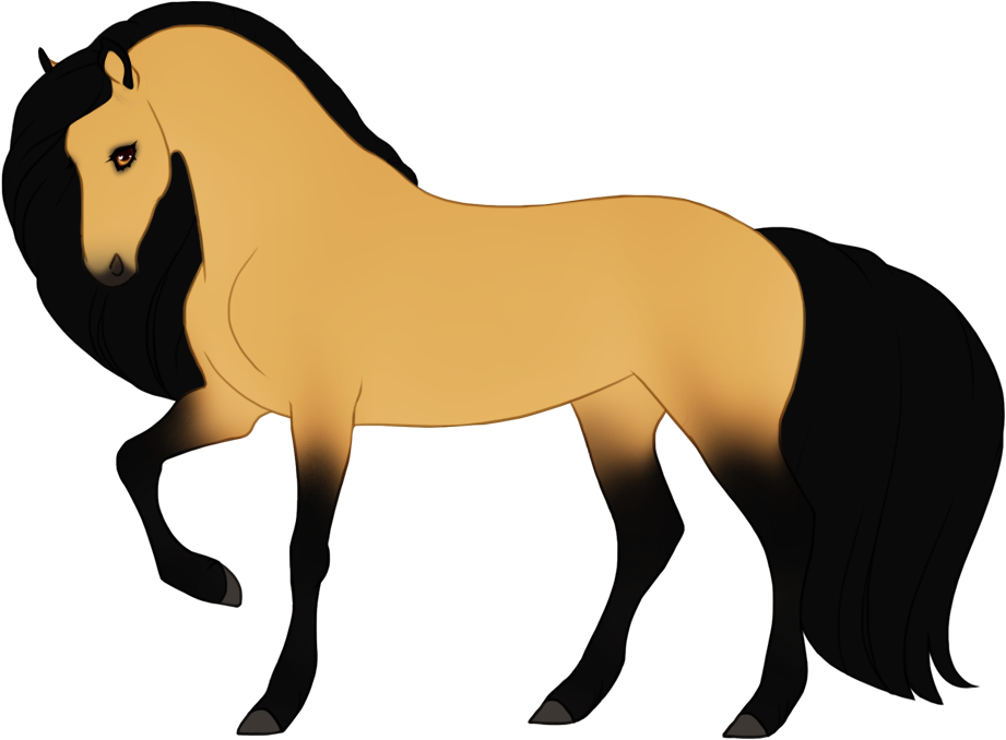 Buckskin with maximal black points