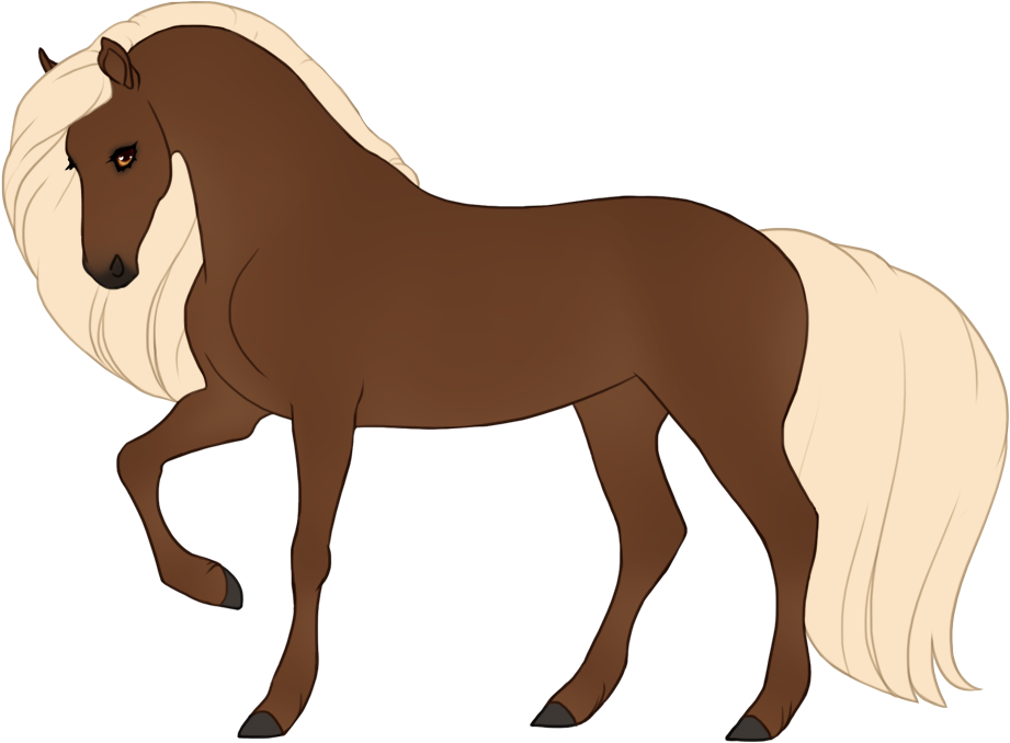 Chocolate palomino