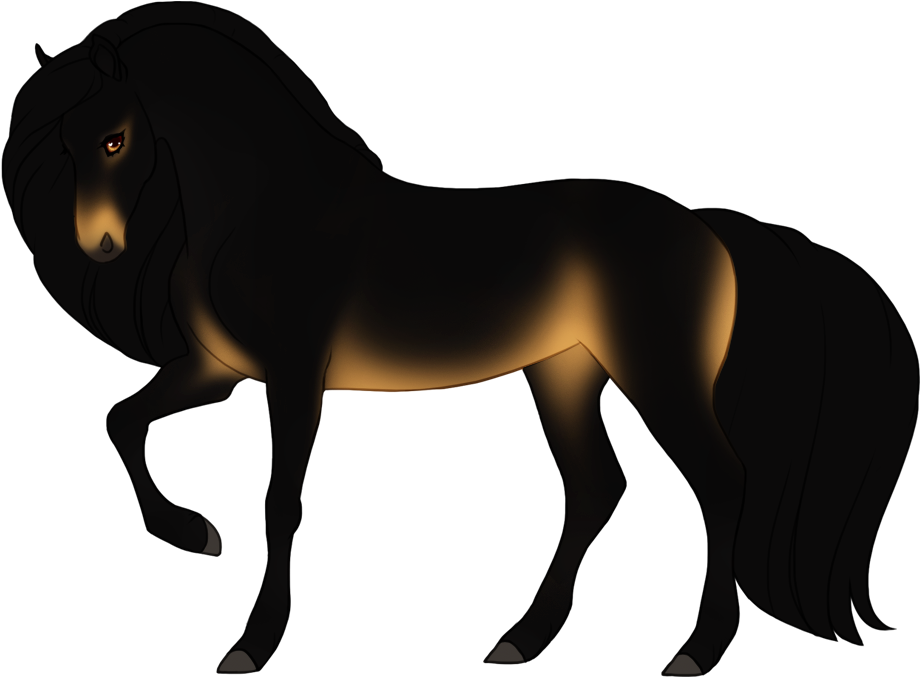 Seal buckskin with maximal black points