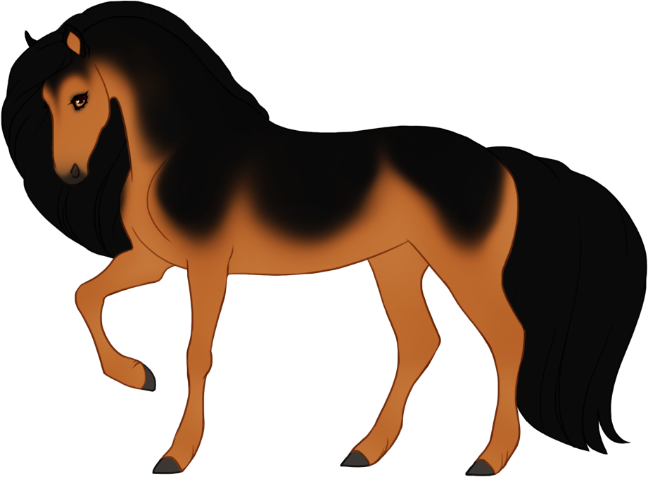 Dark tanpoint buckskin with minimal black points