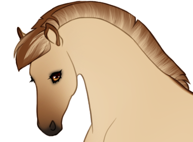 Dun "frosting" in mane