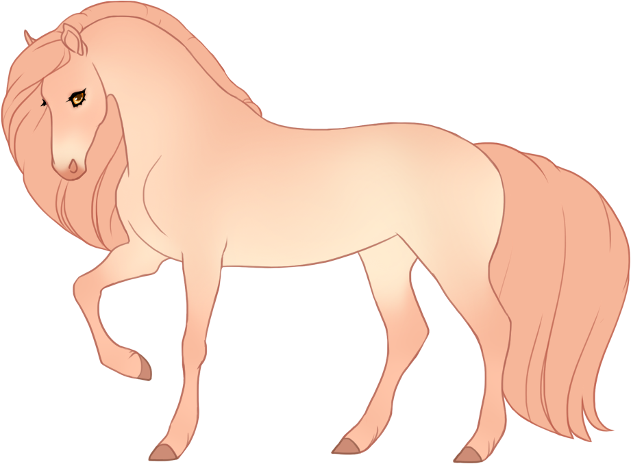 Light seal maple pearl champagne with minimal black points