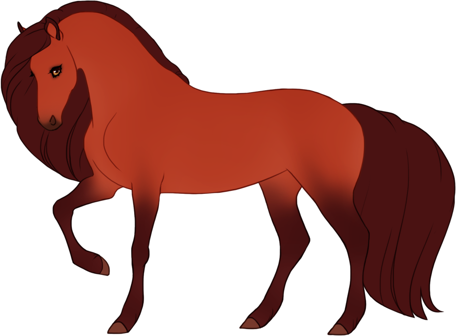 Red ginger with maximal black points