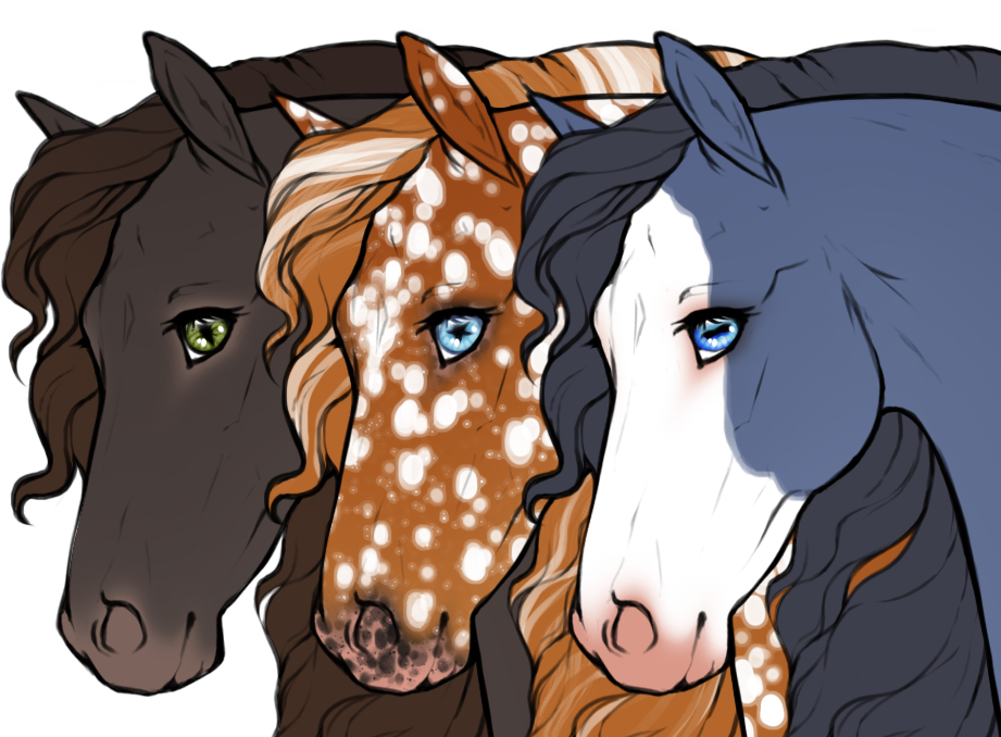 Different pupil shapes