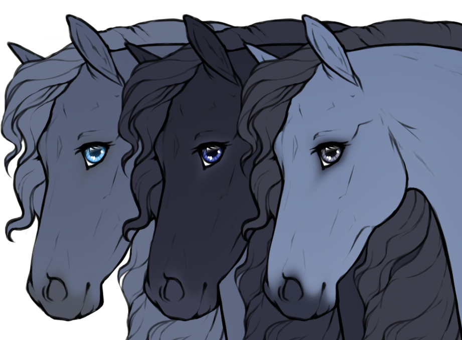 Slate and dark blue eyes