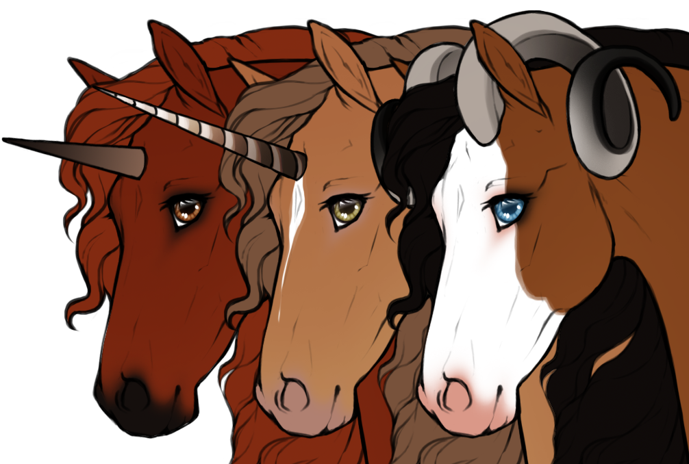 Different examples of Veilhorn hoof colors