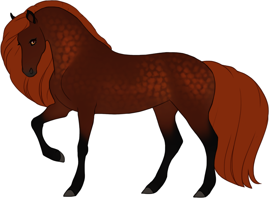 Bronze with dapples on bay with no body roaning