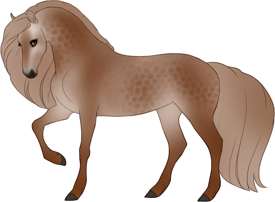 Grey on chestnut with dark dapples