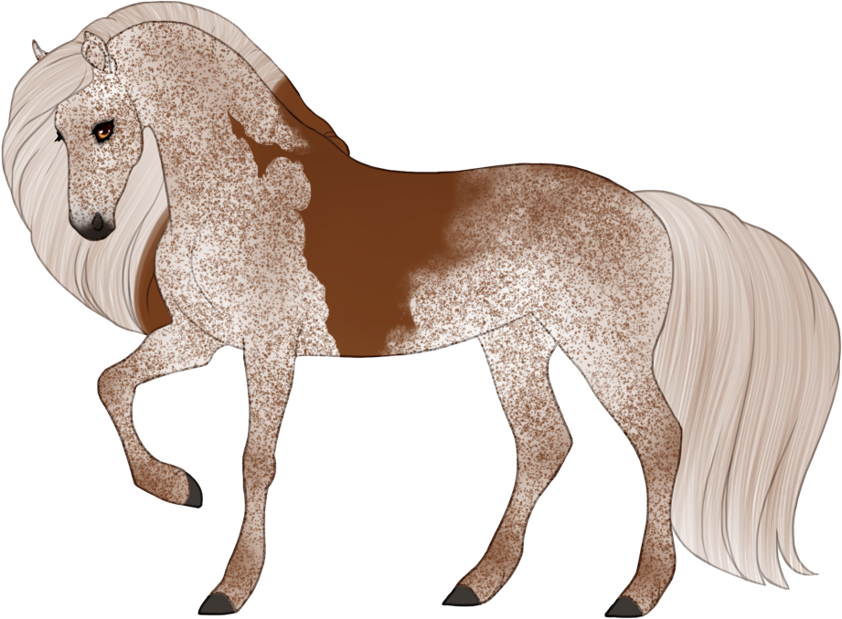 Fleabitten mismarked grey