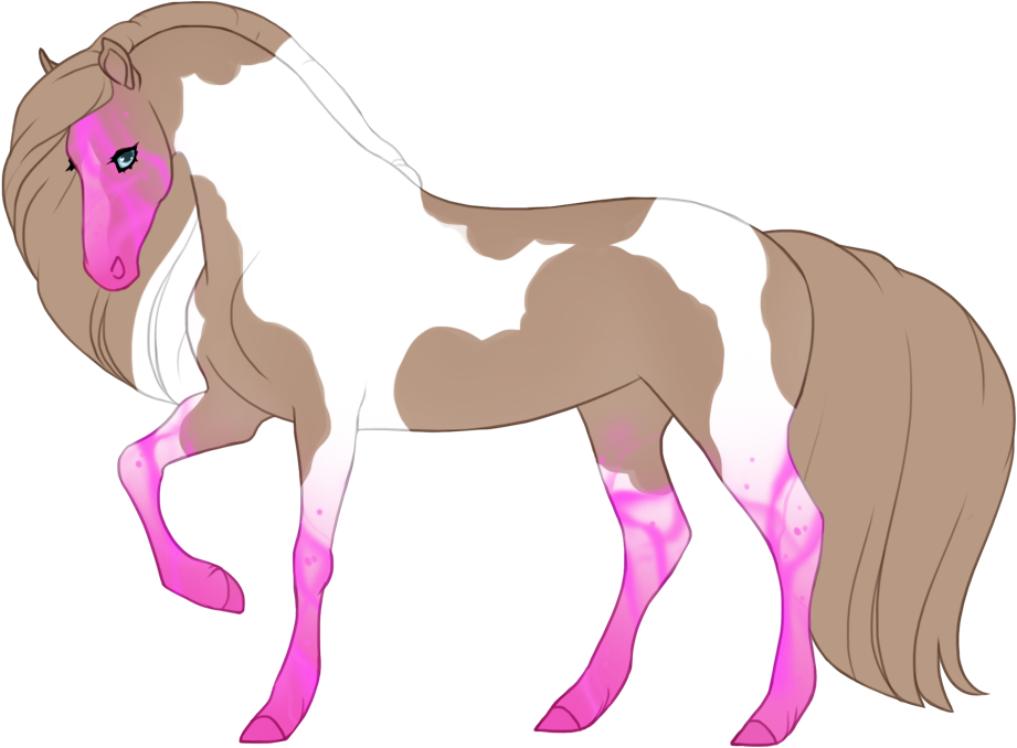 Primal showing over tobiano white markings