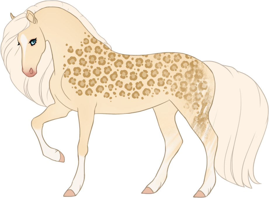 Rugged pard on cremello