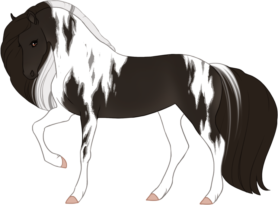 Rugged tobiano