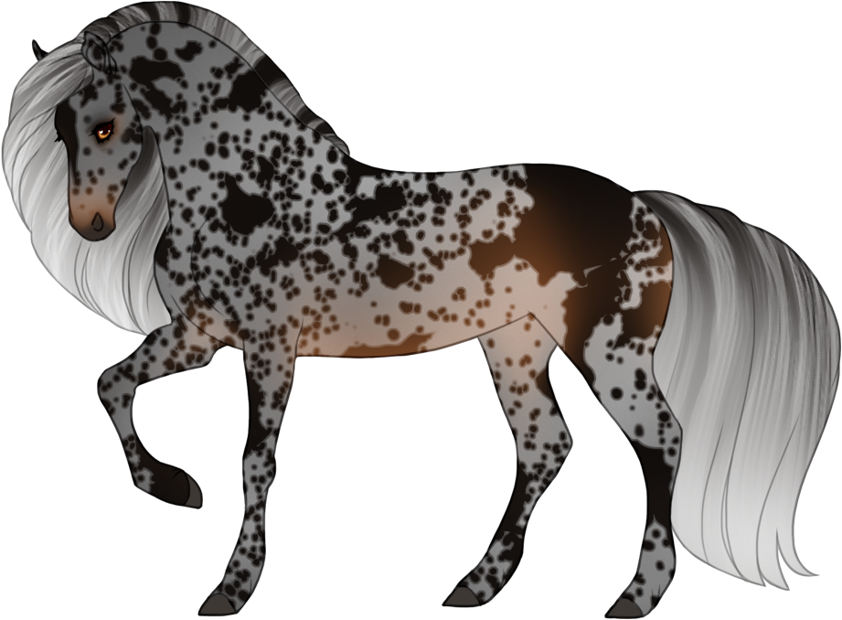 Silver seal bay (merle on whole body)