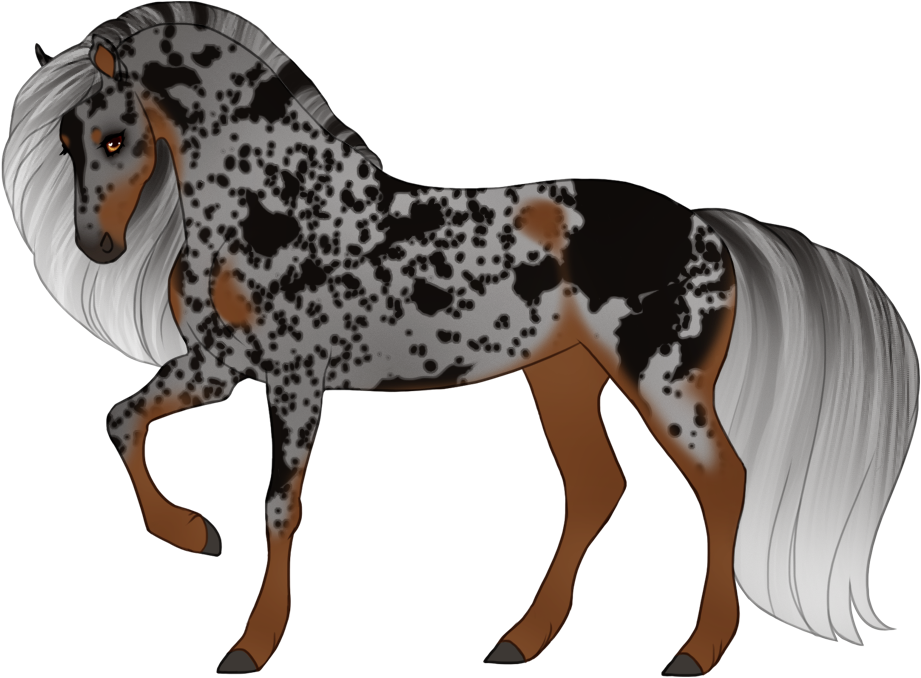 Silver tanpoint bay (merle on black points only)