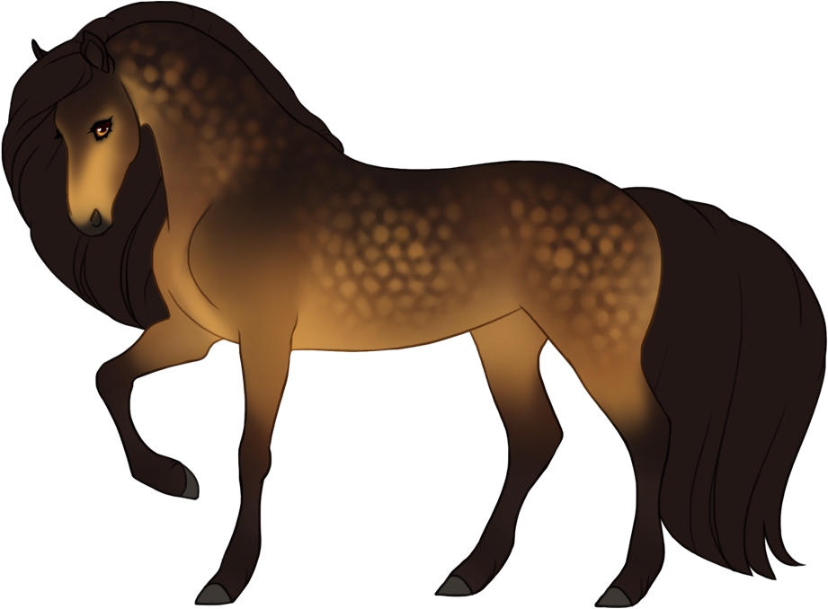 Sooty buckskin with dapples