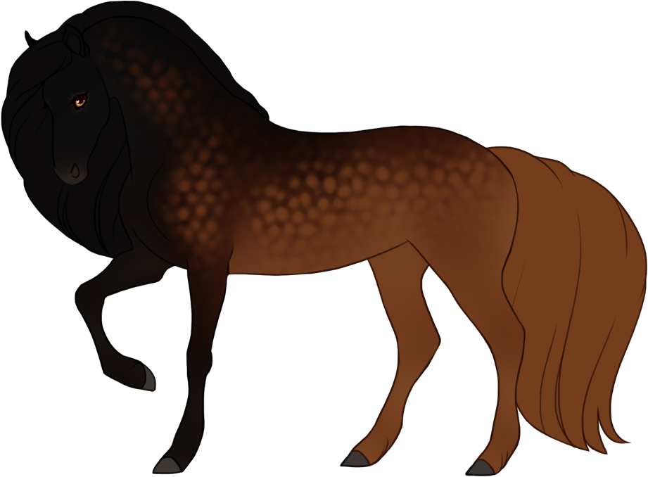 Sooty chestnut with dapples