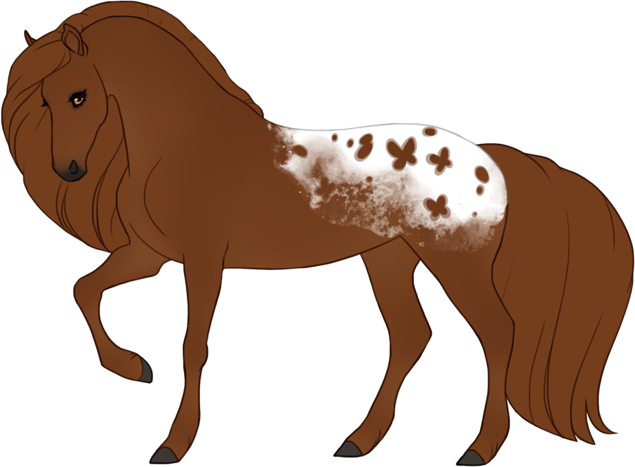 Butterfly-shaped appaloosa spots